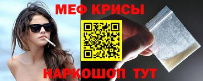 гашик Кингисепп