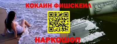 гашик Кингисепп