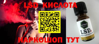 гашик Кингисепп