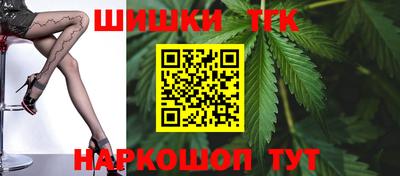 гашик Кингисепп