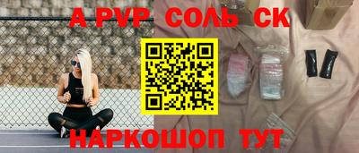 гашик Кингисепп