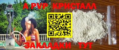гашик Кингисепп