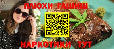гашик Кингисепп