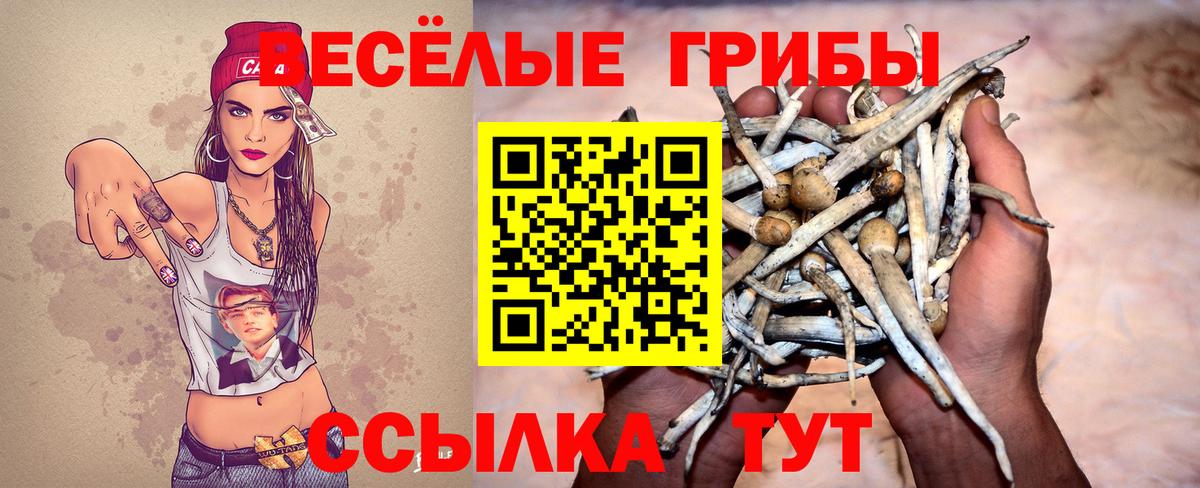Галлюциногенные грибы Magic Shrooms  Галлюциногенные грибы ЛСД  Красноармейск  Вход с VPN 
